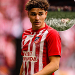 Гестот на Хулијан Алварез што го допре срцето на навивачите