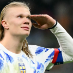 Рекордите на Халанд: Голови на девет репрезентативни меча по ред