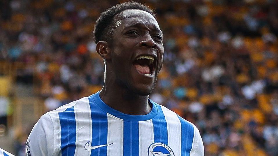 Frontview of Danny Welbeck shouting in a Brighton shirt