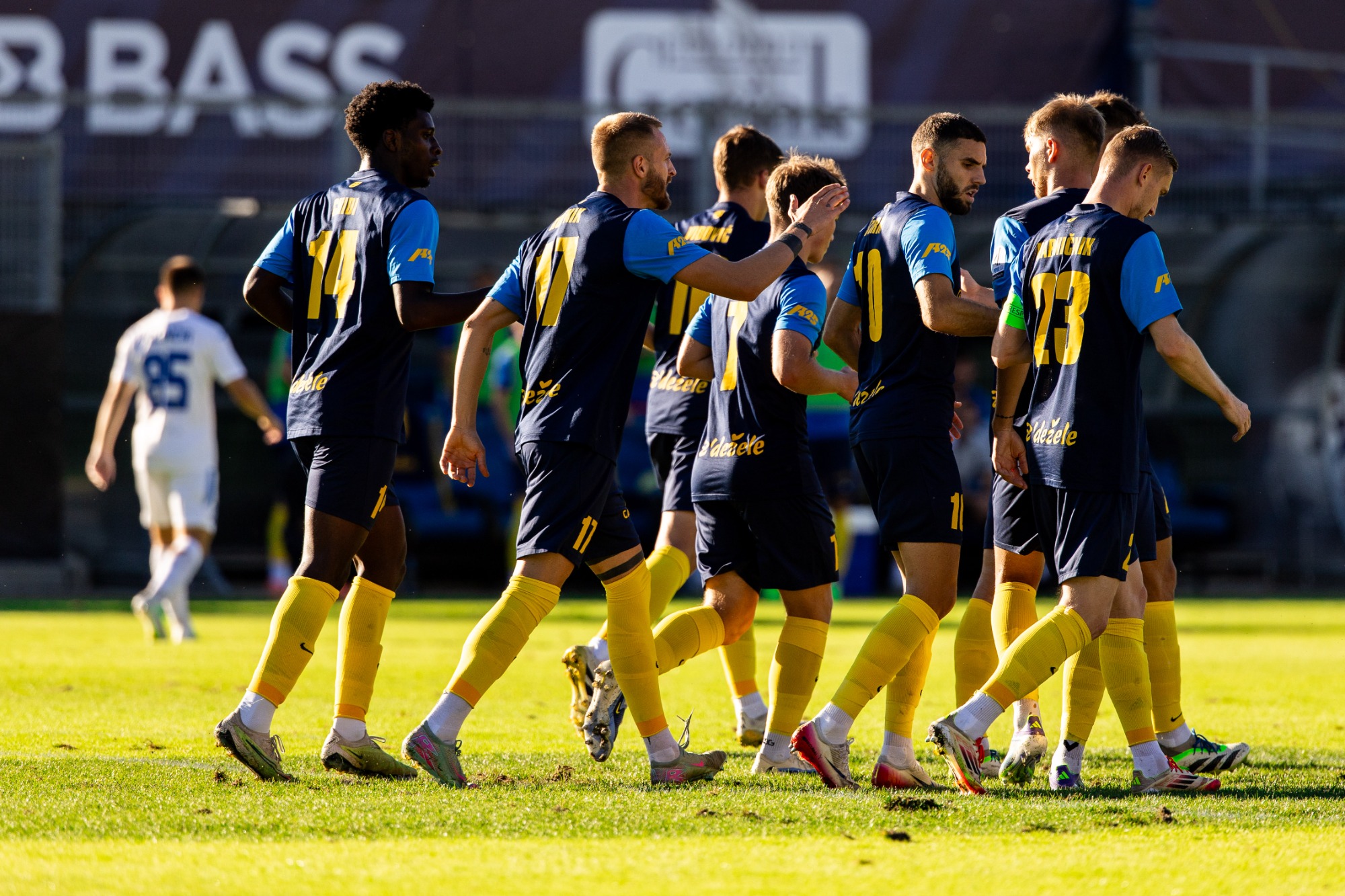 Банкротираше словенечкиот Домжале