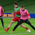 Необичен тест за лечење на раните на Ирска и Македонија во Даблин