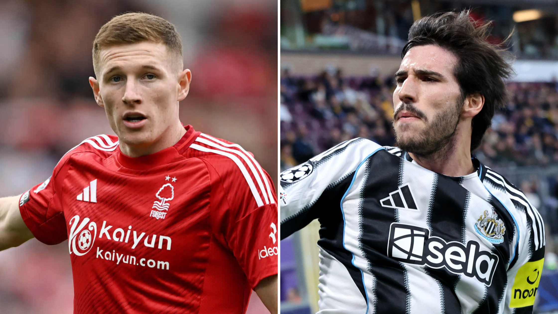 Елиот Андерсон и Сандро Тонали