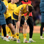 Феноменот на Молињу: Вулверхемптон и бизарниот пат кон испаѓање без мрдање од 20-то место