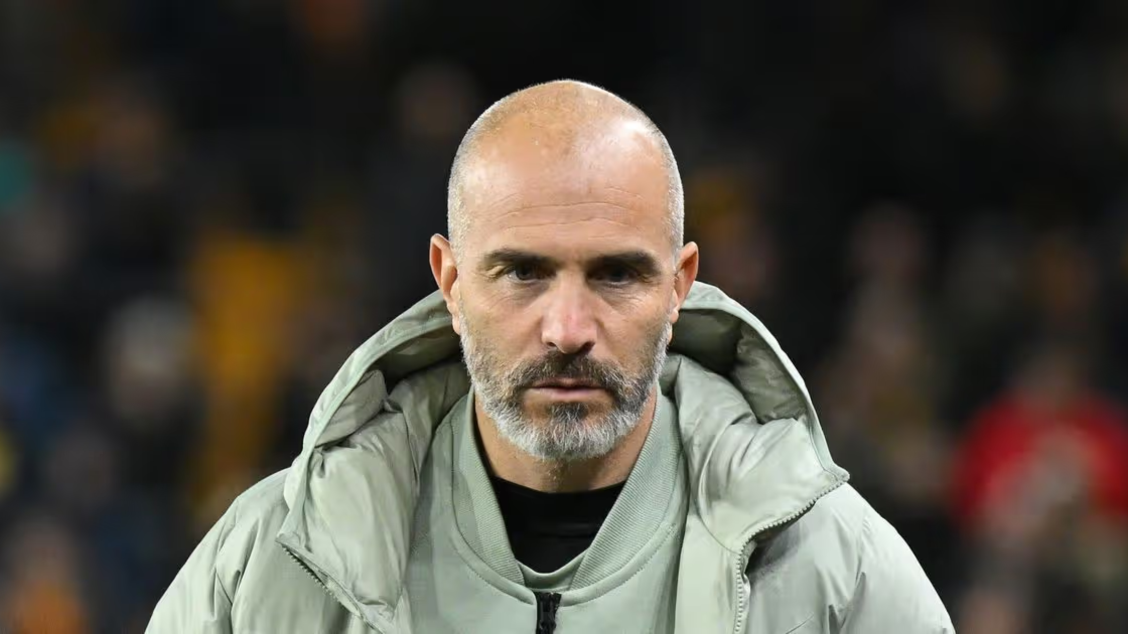 Енцо Мареска. фокусиран